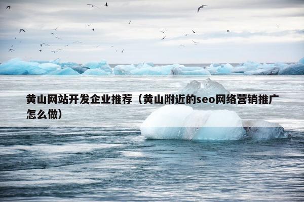 黄山网站开发企业推荐（黄山附近的seo网络营销推广怎么做）