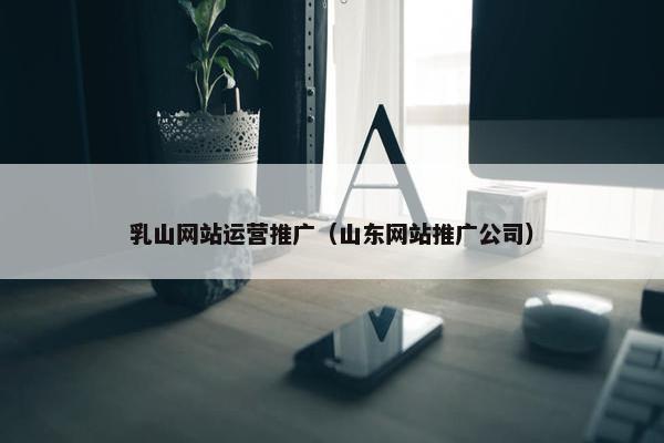 乳山网站运营推广（山东网站推广公司）