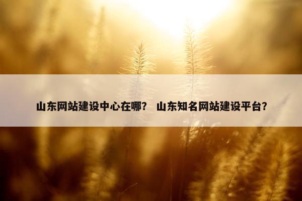山东网站建设中心在哪？ 山东知名网站建设平台？