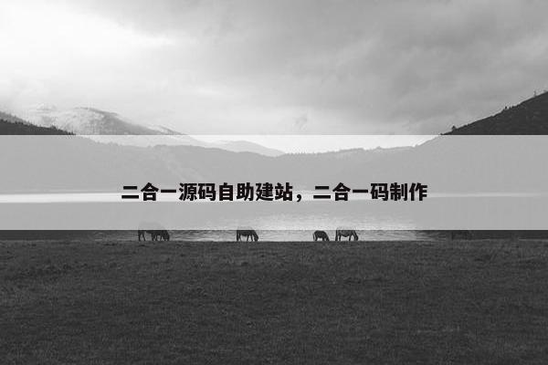 二合一源码自助建站，二合一码制作