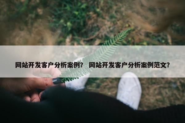 网站开发客户分析案例？ 网站开发客户分析案例范文？