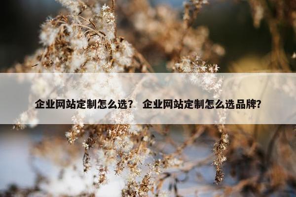 企业网站定制怎么选？ 企业网站定制怎么选品牌？