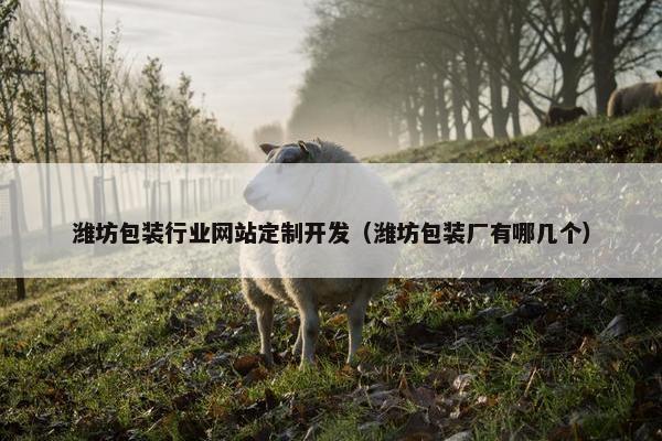 潍坊包装行业网站定制开发（潍坊包装厂有哪几个）