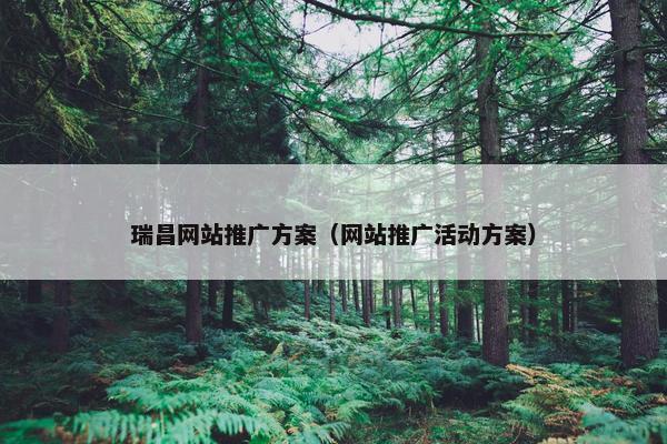 瑞昌网站推广方案（网站推广活动方案）