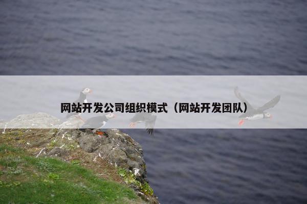 网站开发公司组织模式（网站开发团队）