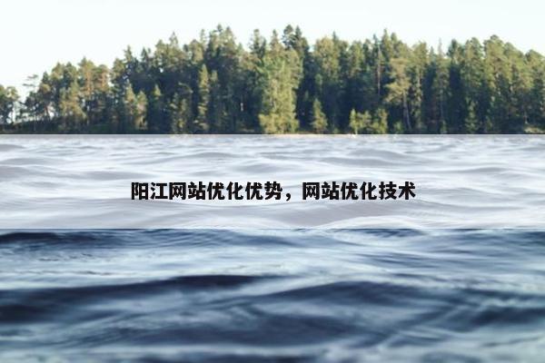 阳江网站优化优势，网站优化技术