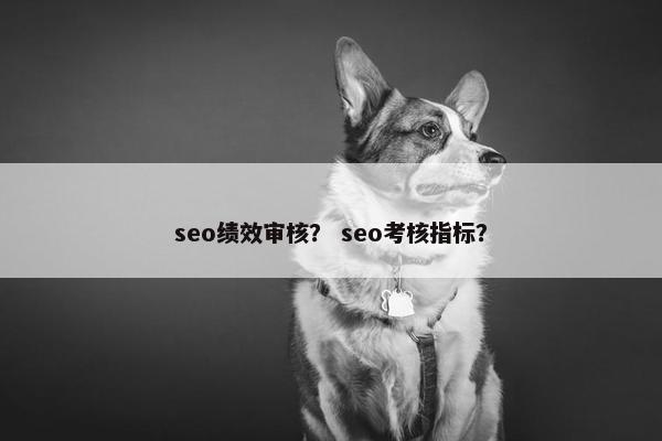 seo绩效审核？ seo考核指标？