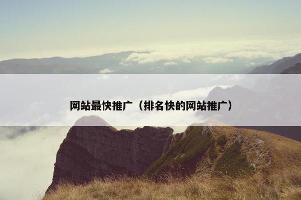 网站最快推广（排名快的网站推广）