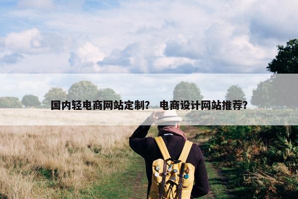 国内轻电商网站定制？ 电商设计网站推荐？