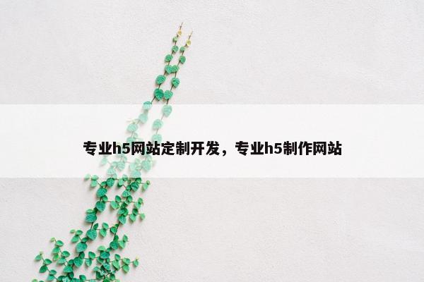 专业h5网站定制开发，专业h5制作网站