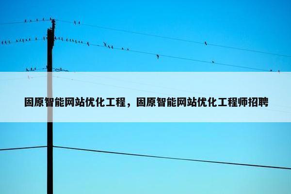 固原智能网站优化工程，固原智能网站优化工程师招聘