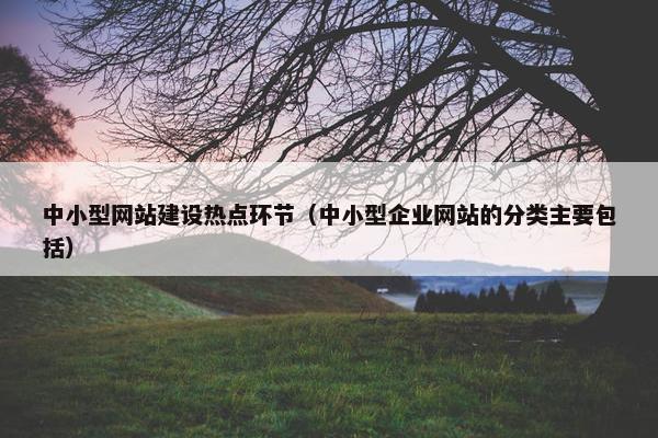 中小型网站建设热点环节（中小型企业网站的分类主要包括）