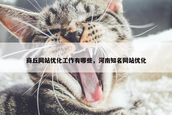 商丘网站优化工作有哪些，河南知名网站优化