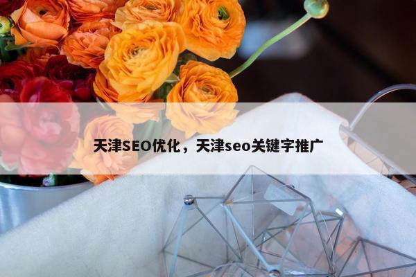 天津SEO优化，天津seo关键字推广