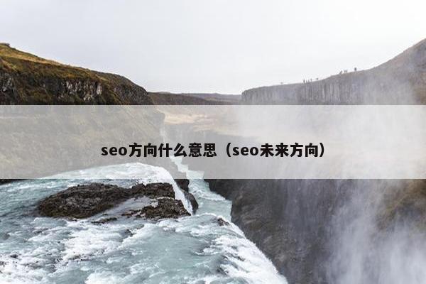 seo方向什么意思（seo未来方向）