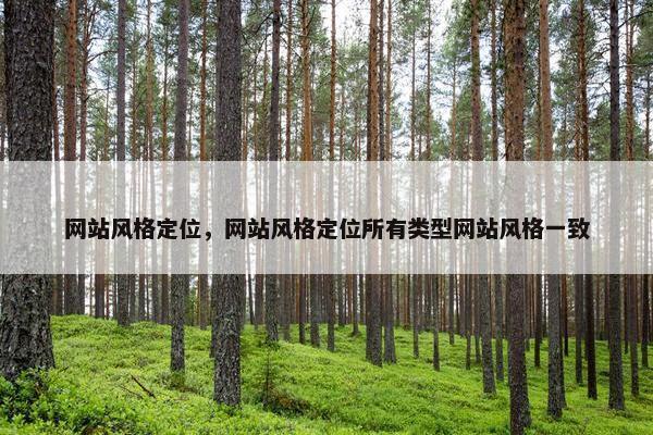 网站风格定位，网站风格定位所有类型网站风格一致