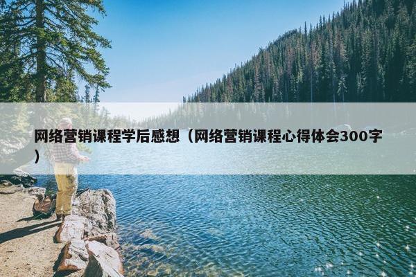 网络营销课程学后感想（网络营销课程心得体会300字）