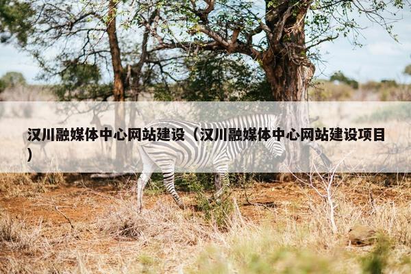 汉川融媒体中心网站建设（汉川融媒体中心网站建设项目）