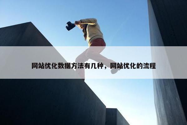 网站优化数据方法有几种，网站优化的流程