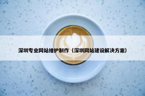 深圳专业网站维护制作（深圳网站建设解决方案）