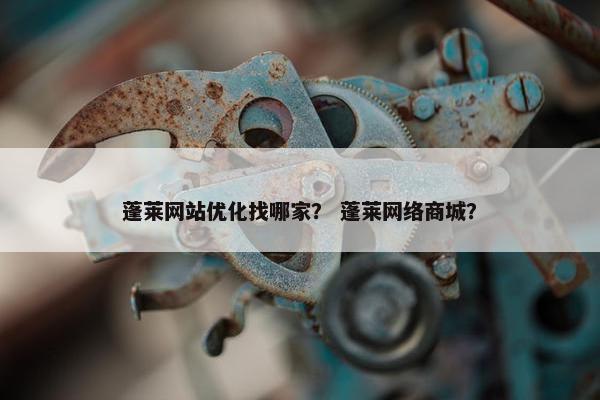 蓬莱网站优化找哪家？ 蓬莱网络商城？