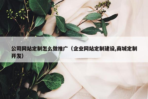 公司网站定制怎么做推广（企业网站定制建设,商城定制开发）