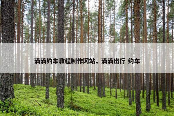 滴滴约车教程制作网站，滴滴出行 约车