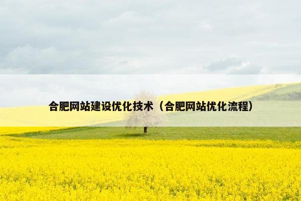 合肥网站建设优化技术（合肥网站优化流程）