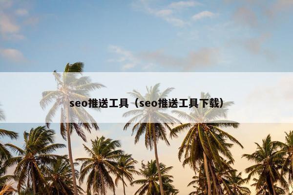 seo推送工具（seo推送工具下载）