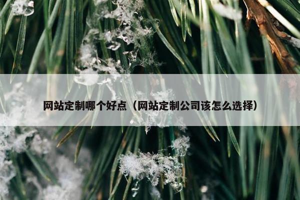 网站定制哪个好点（网站定制公司该怎么选择）