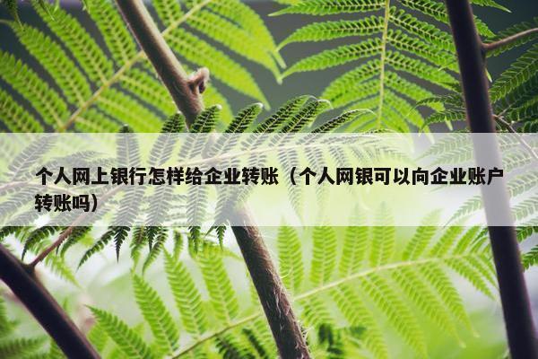 个人网上银行怎样给企业转账（个人网银可以向企业账户转账吗）