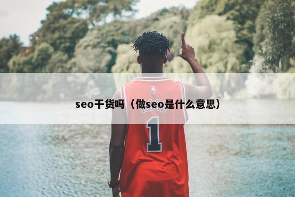 seo干货吗（做seo是什么意思）