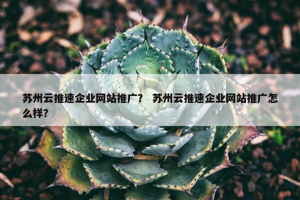 苏州云推速企业网站推广？ 苏州云推速企业网站推广怎么样？