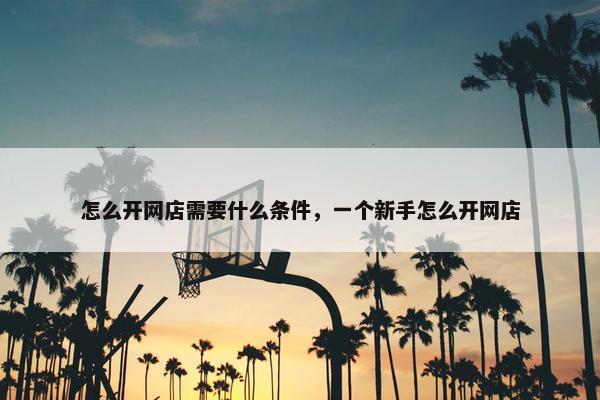 怎么开网店需要什么条件，一个新手怎么开网店