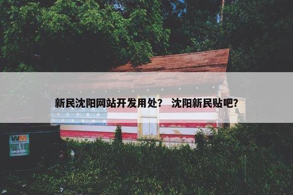 新民沈阳网站开发用处？ 沈阳新民贴吧？