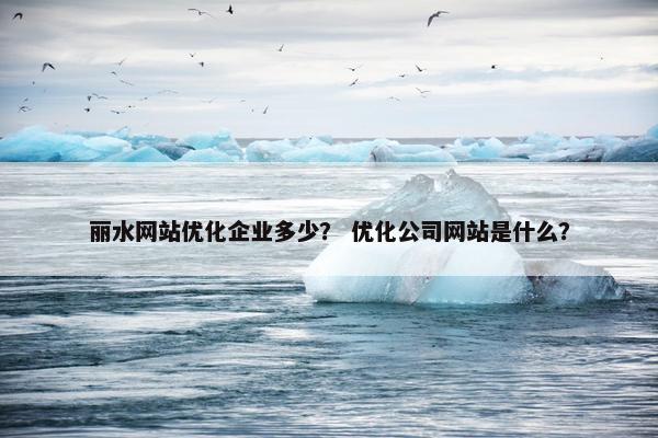 丽水网站优化企业多少？ 优化公司网站是什么？