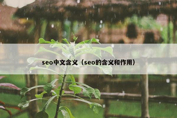 seo中文含义（seo的含义和作用）