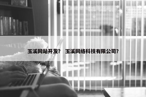 玉溪网站开发？ 玉溪网络科技有限公司？