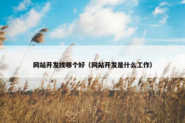 网站开发找哪个好（网站开发是什么工作）