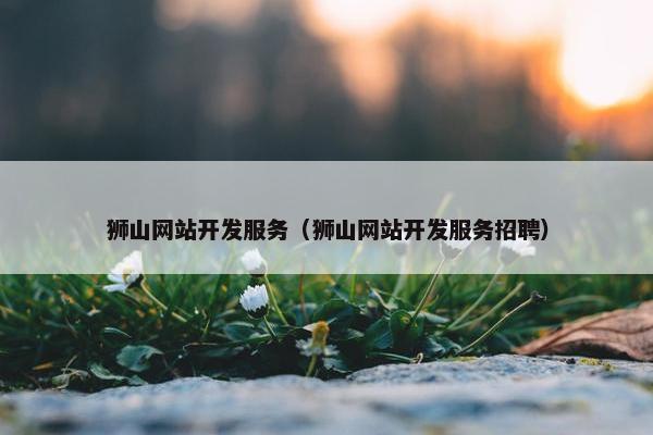 狮山网站开发服务（狮山网站开发服务招聘）