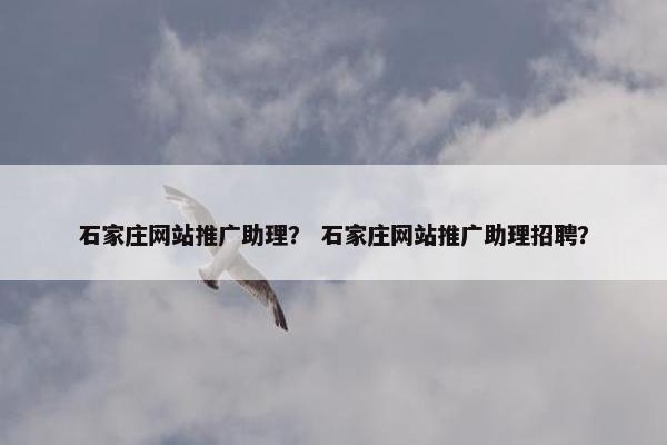 石家庄网站推广助理？ 石家庄网站推广助理招聘？