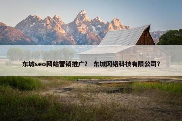 东城seo网站营销推广？ 东城网络科技有限公司？