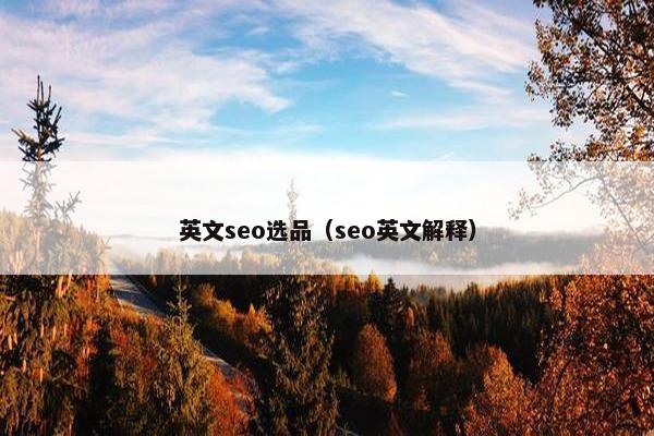 英文seo选品（seo英文解释）