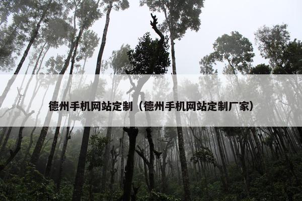 德州手机网站定制（德州手机网站定制厂家）