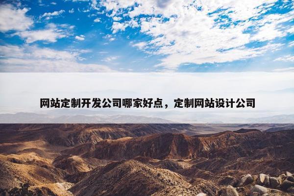 网站定制开发公司哪家好点，定制网站设计公司
