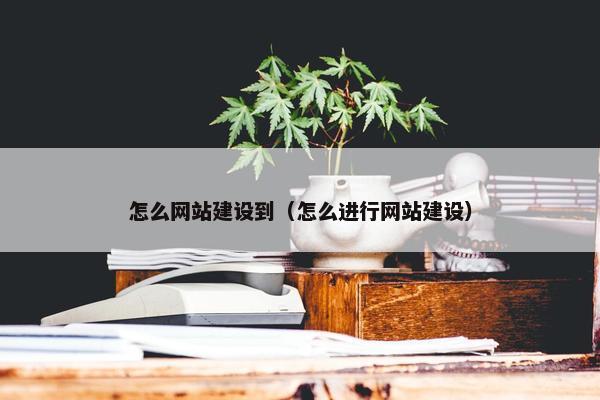怎么网站建设到（怎么进行网站建设）