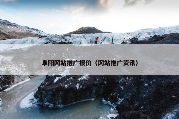 阜阳网站推广报价（网站推广资讯）