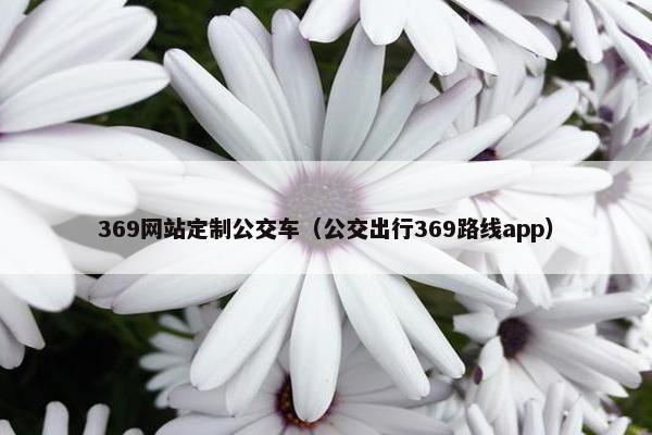369网站定制公交车（公交出行369路线app）