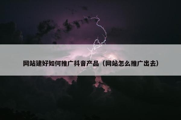 网站建好如何推广抖音产品（网站怎么推广出去）