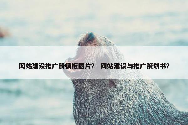 网站建设推广册模板图片？ 网站建设与推广策划书？
